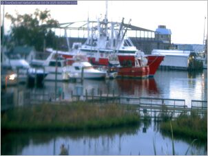 harborcam