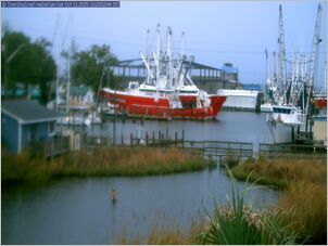 harborcam