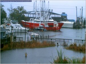 harborcam