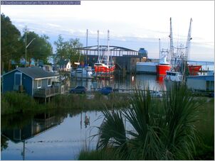 harborcam