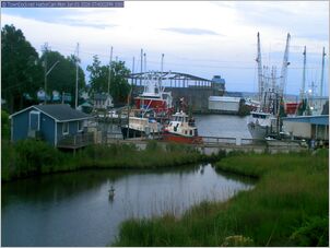 harborcam