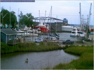 harborcam