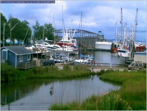 harborcam