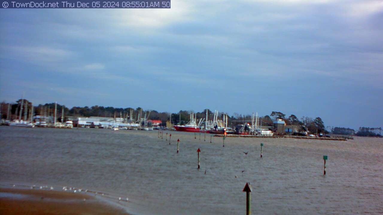 Pecan Cam, Pecan Grove Marina Channel  Cam