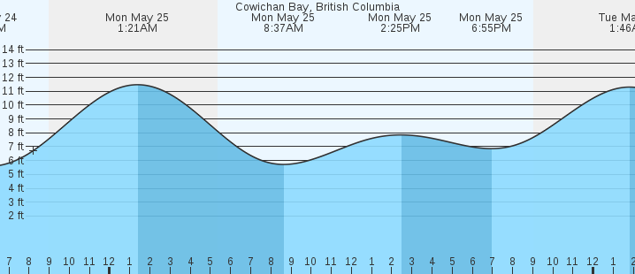 tide graph