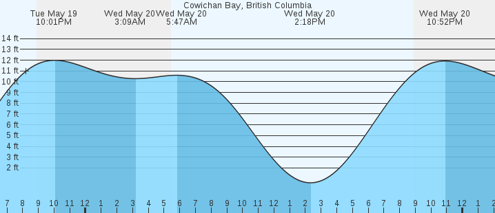 tide graph