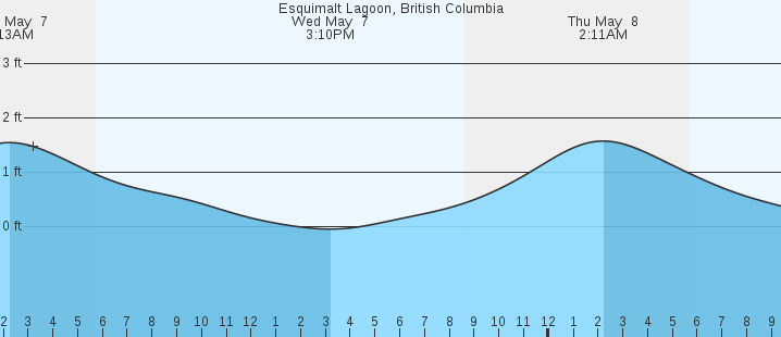tide graph