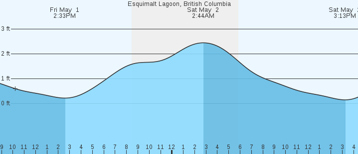 tide graph