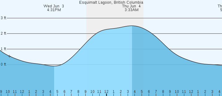 tide graph