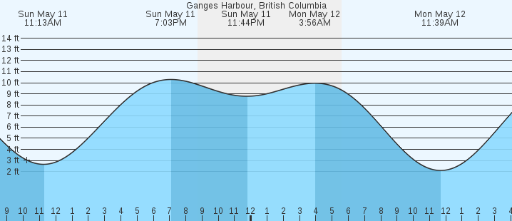 tide graph
