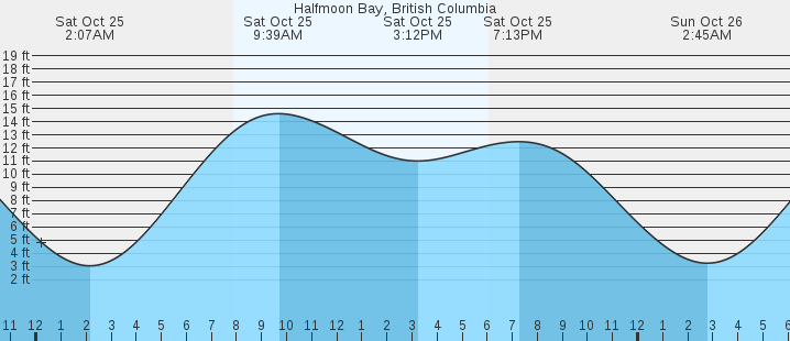 tide graph