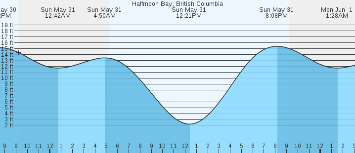 tide graph