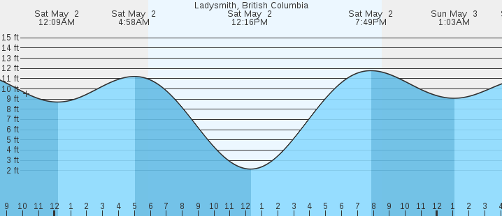 tide graph