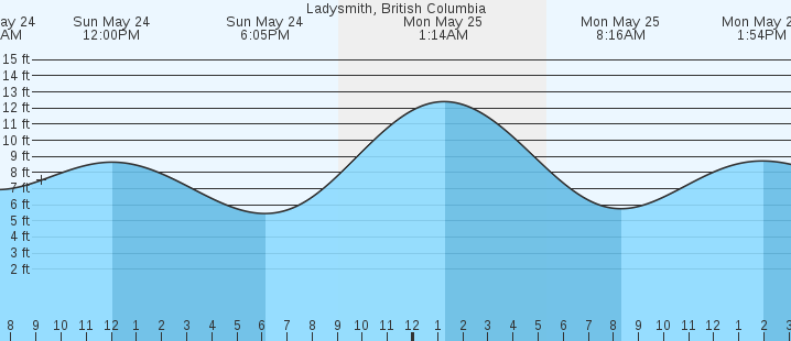 tide graph