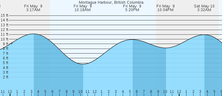 tide graph