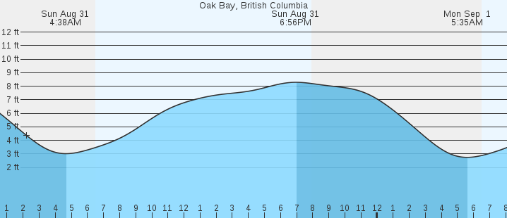 tide graph