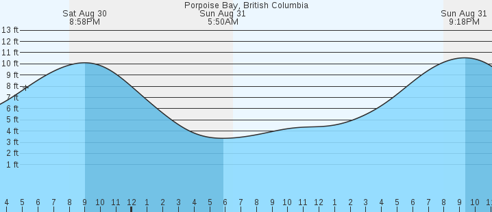 tide graph