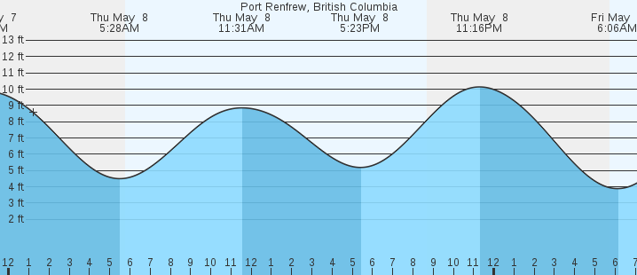 tide graph