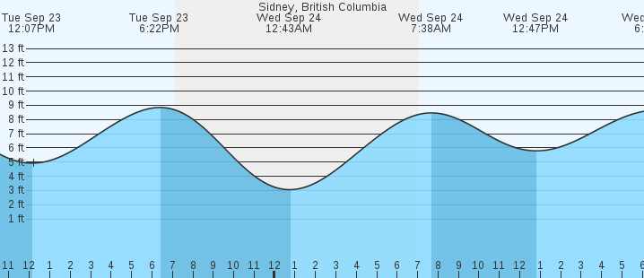 tide graph