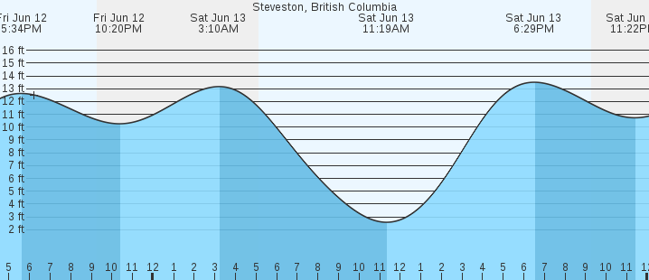 tide graph