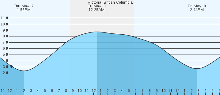 tide graph