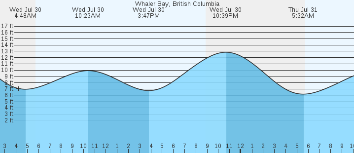 tide graph