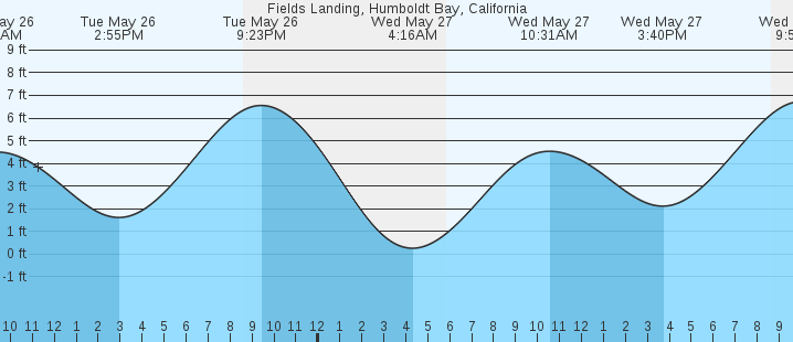 tide graph
