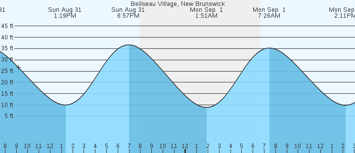 tide graph