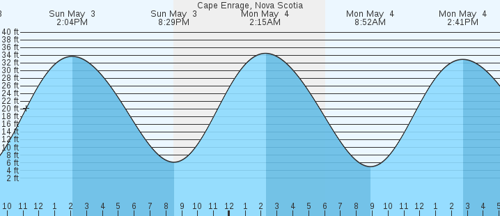 tide graph