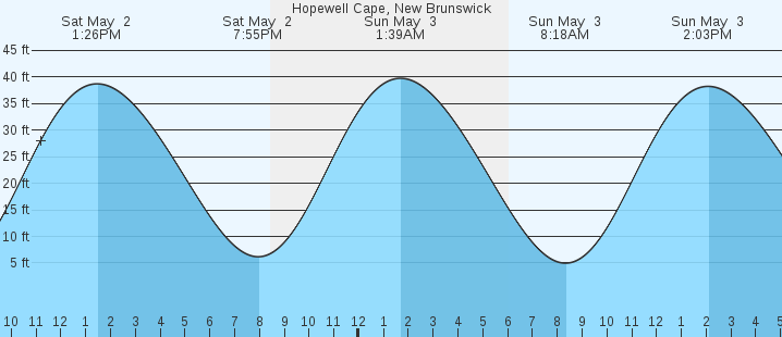 tide graph
