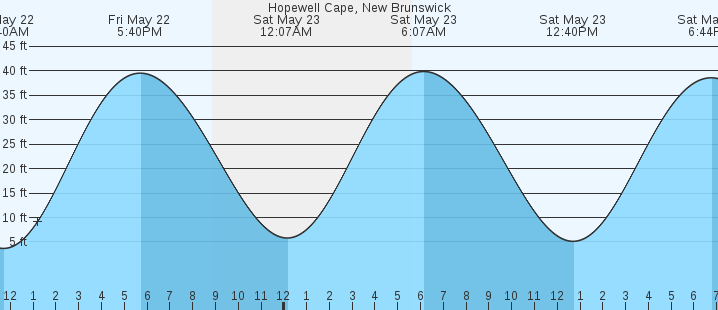 tide graph