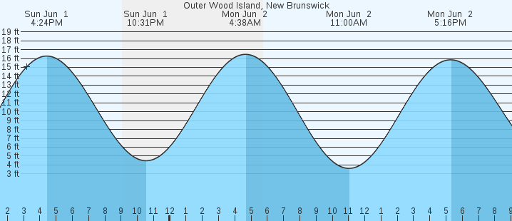 tide graph