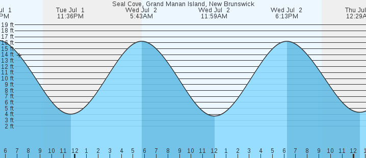 tide graph