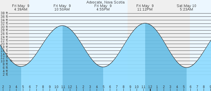 tide graph