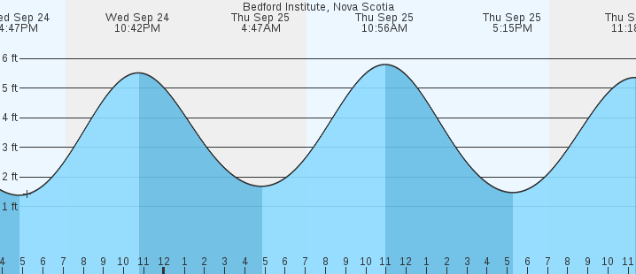 tide graph