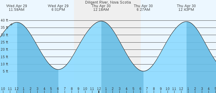 tide graph