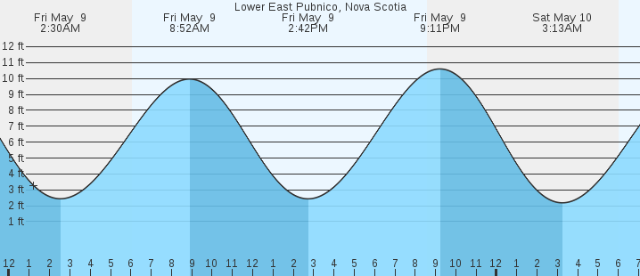 tide graph
