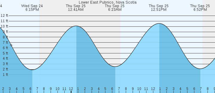 tide graph