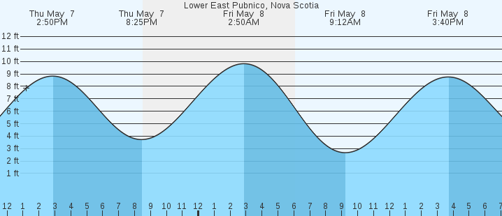 tide graph