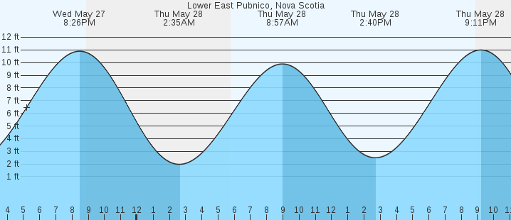 tide graph