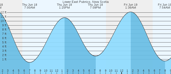 tide graph