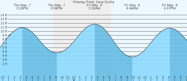 tide graph