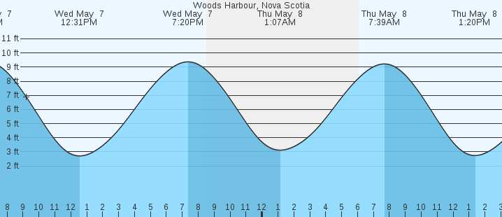 tide graph