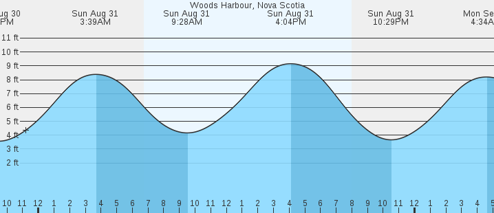 tide graph