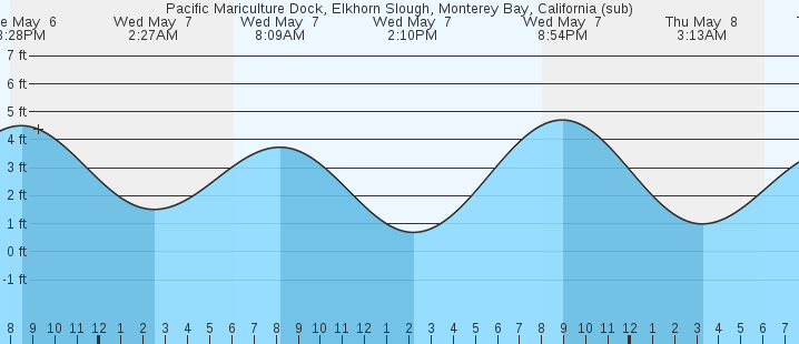 tide graph