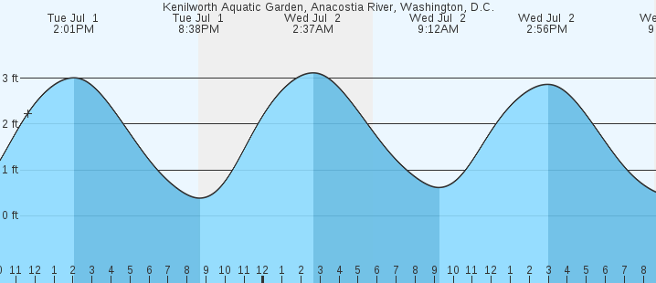 tide graph