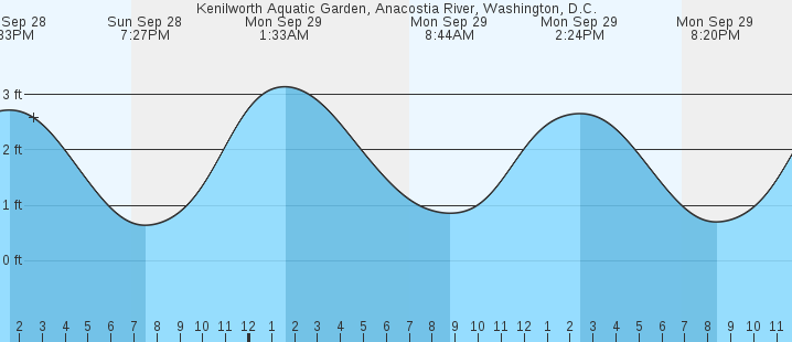 tide graph