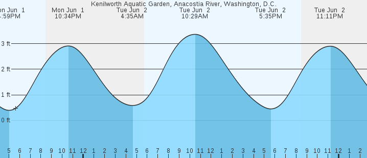 tide graph