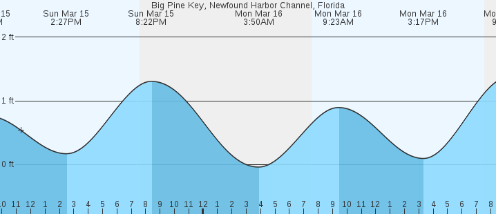 Newfound Harbor Marine Institute Big Pine Key, FL Postcard