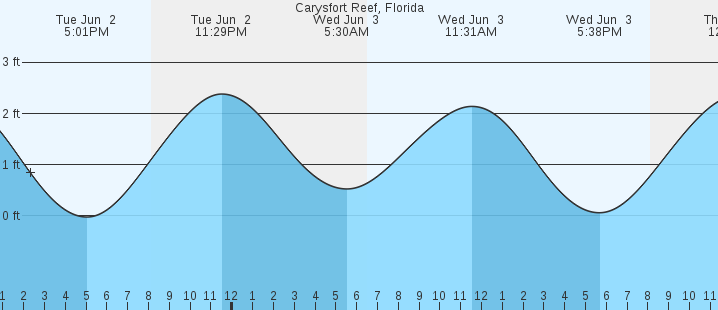 tide graph